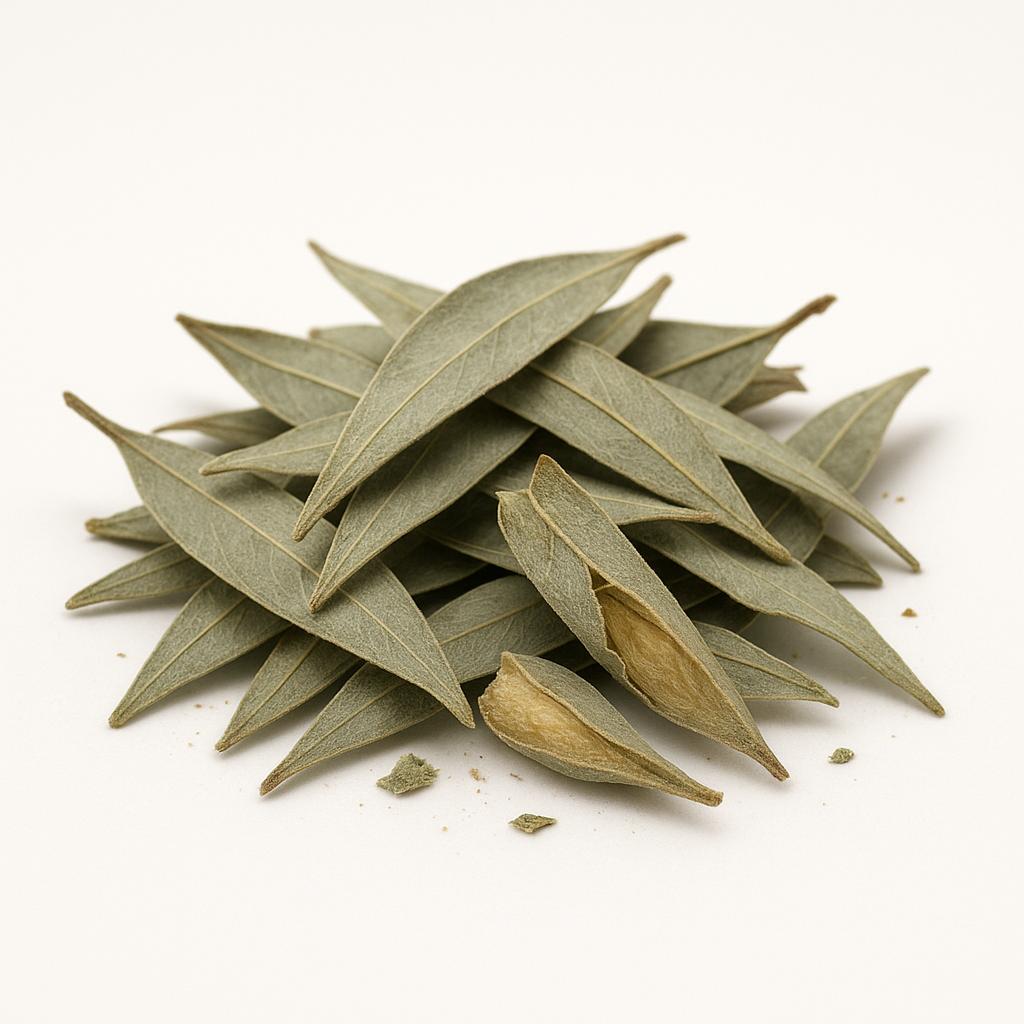 Eucalyptus – Feuilles séchées