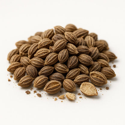 Céleri – Feuilles séchées