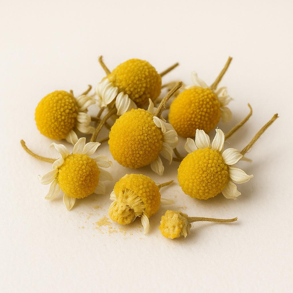 Camomille – Feuilles séchées