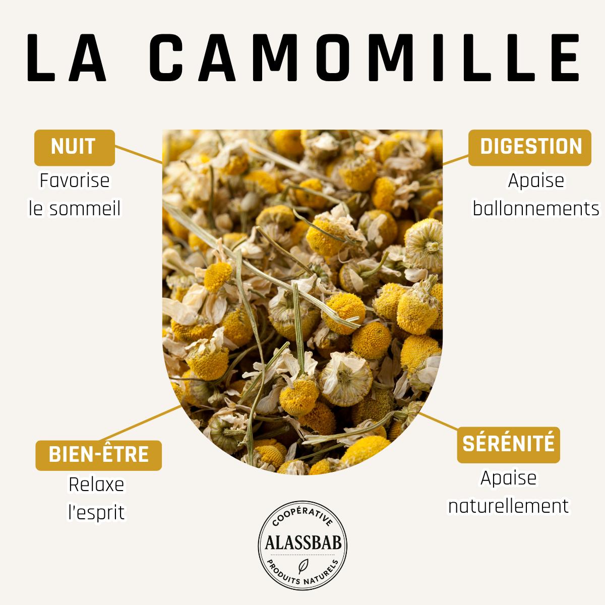Camomille – Feuilles séchées