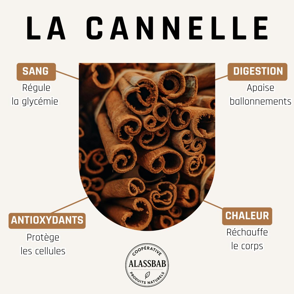 Cannelle – Bâtons entiers