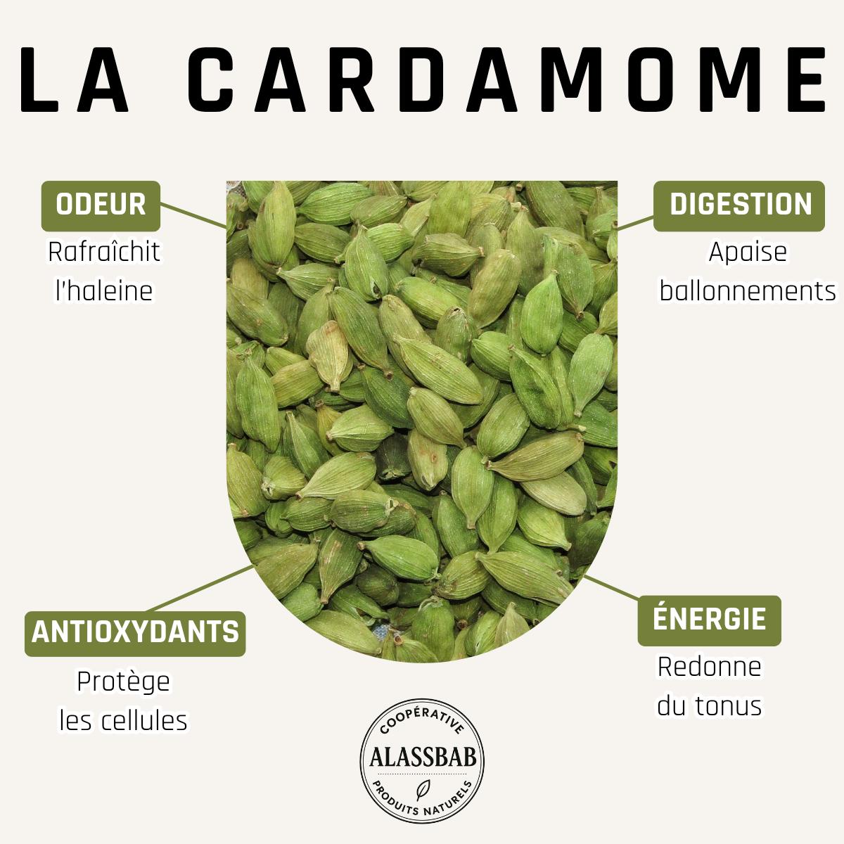 Cardamome - Gousse entières