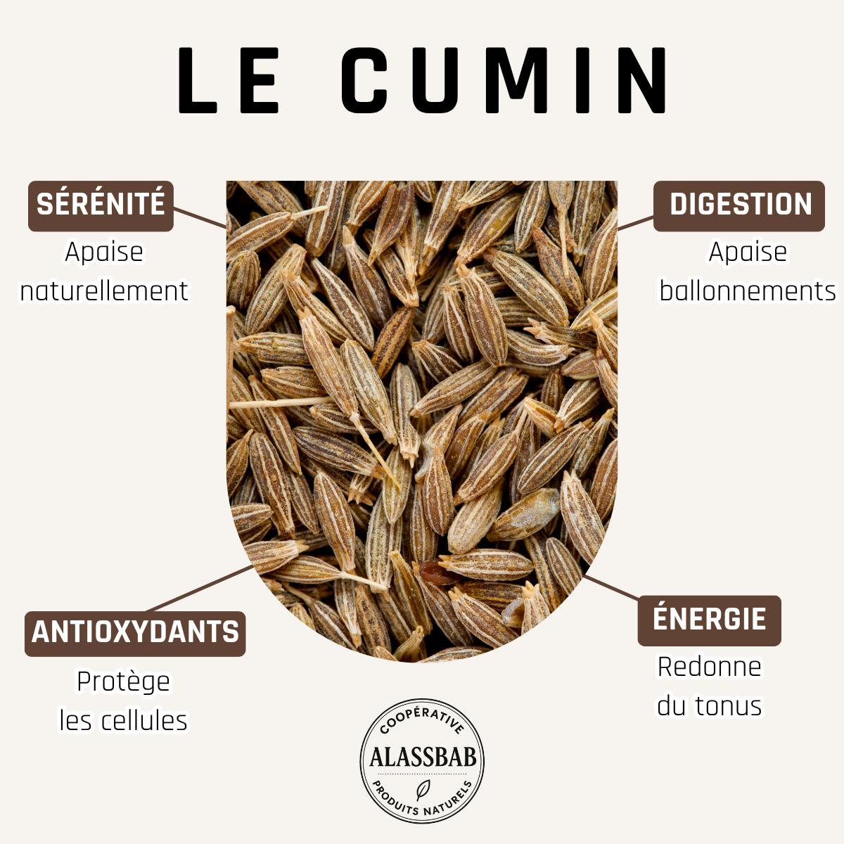 Cumin - Graines entières