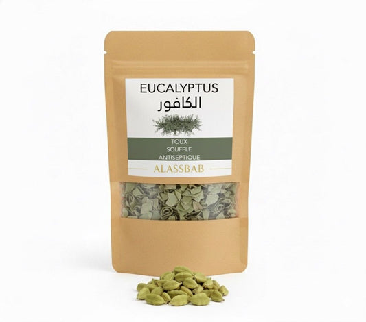 Eucalyptus – Feuilles séchées