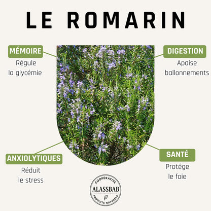 Romarin - Feuilles séchées